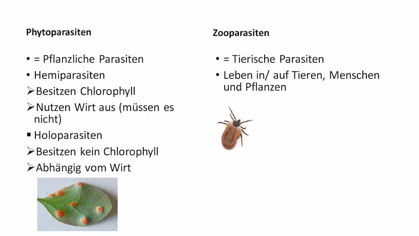Parasitismus Allgemeines
Parasitenarten
Arten des Wirts
• Folgen für den Wirt
• Übertragung
●
Quellen
●
●
Inhaltsverzeichnis 1
Ook
Allgemein