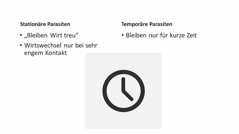 Parasitismus Allgemeines
Parasitenarten
Arten des Wirts
• Folgen für den Wirt
• Übertragung
●
Quellen
●
●
Inhaltsverzeichnis 1
Ook
Allgemein