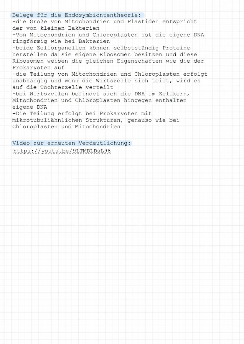 Endosymbiontentheorie-
Mitochondrien und Chloroplasten sind von einer Doppelmembran
umschlossen und sind unabhängig von Mitose und Meiose. Z