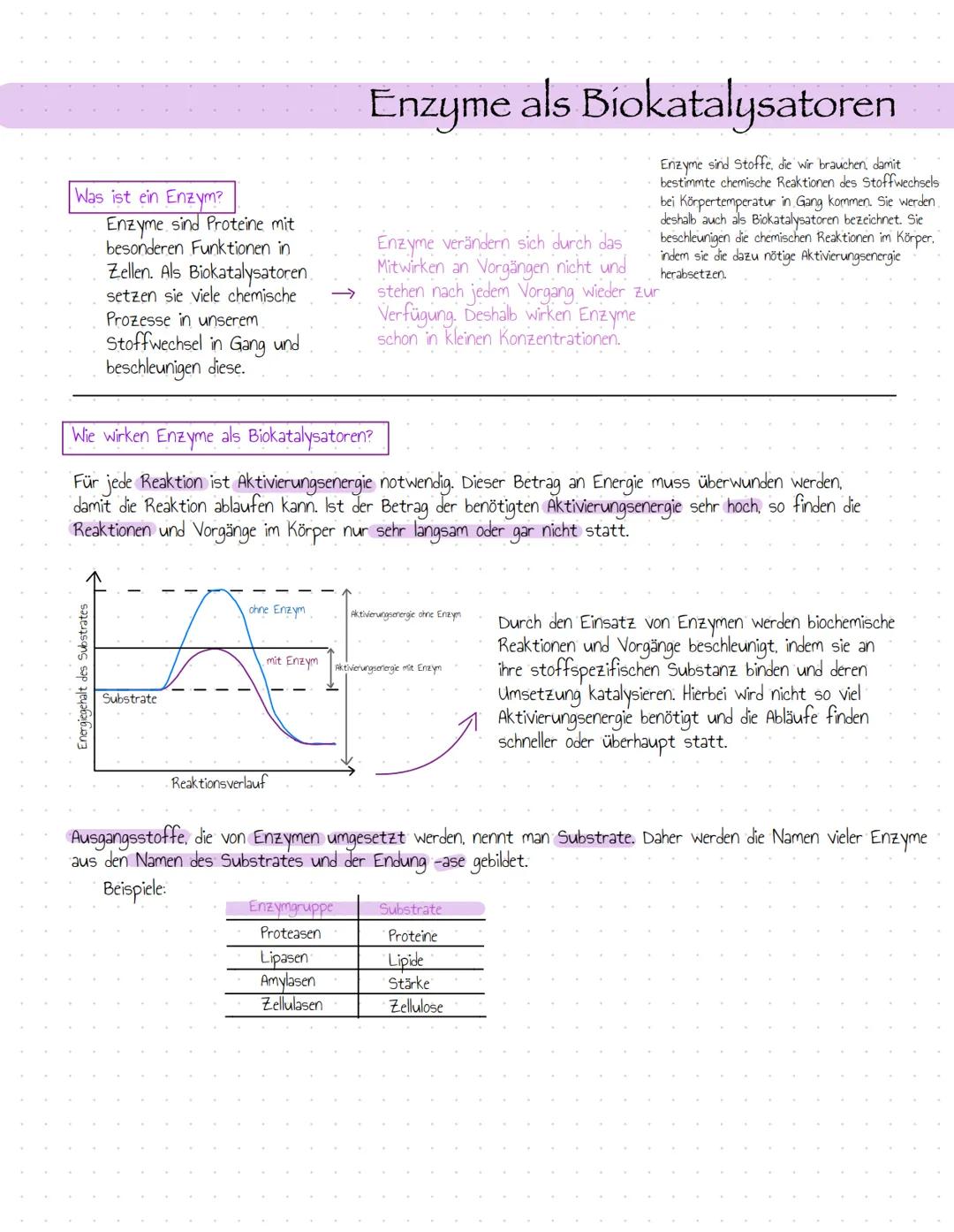 # Was ist ein Enzym?
Enzyme sind Proteine mit
besonderen Funktionen in
Zellen. Als Biokatalysatoren
setzen sie viele chemische
Prozesse in u