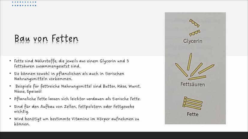 Ernährung
und
Verdauung
Pflanzliche und tierische
Nahrungsmittel
Kohlenhydrate, Fette,
Proteine
Baustoffe und
Betriebsstoffe
Die Arbeitsweis