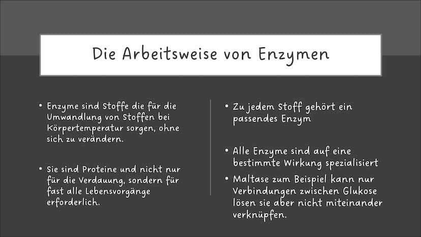 Ernährung
und
Verdauung
Pflanzliche und tierische
Nahrungsmittel
Kohlenhydrate, Fette,
Proteine
Baustoffe und
Betriebsstoffe
Die Arbeitsweis