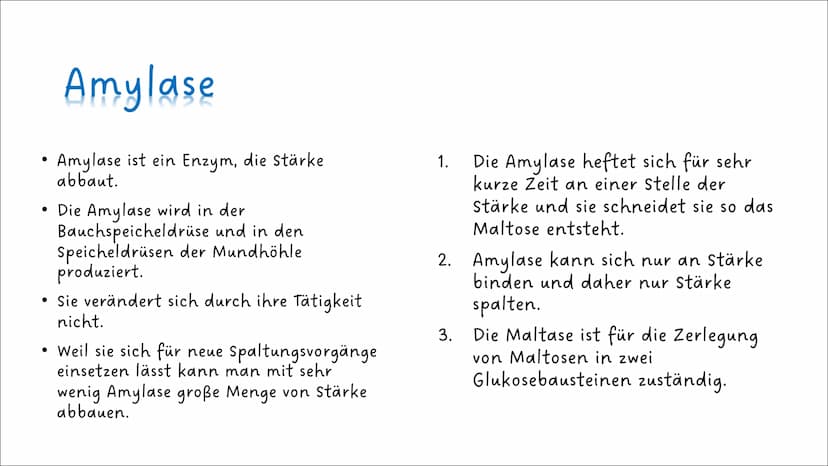 Ernährung
und
Verdauung
Pflanzliche und tierische
Nahrungsmittel
Kohlenhydrate, Fette,
Proteine
Baustoffe und
Betriebsstoffe
Die Arbeitsweis