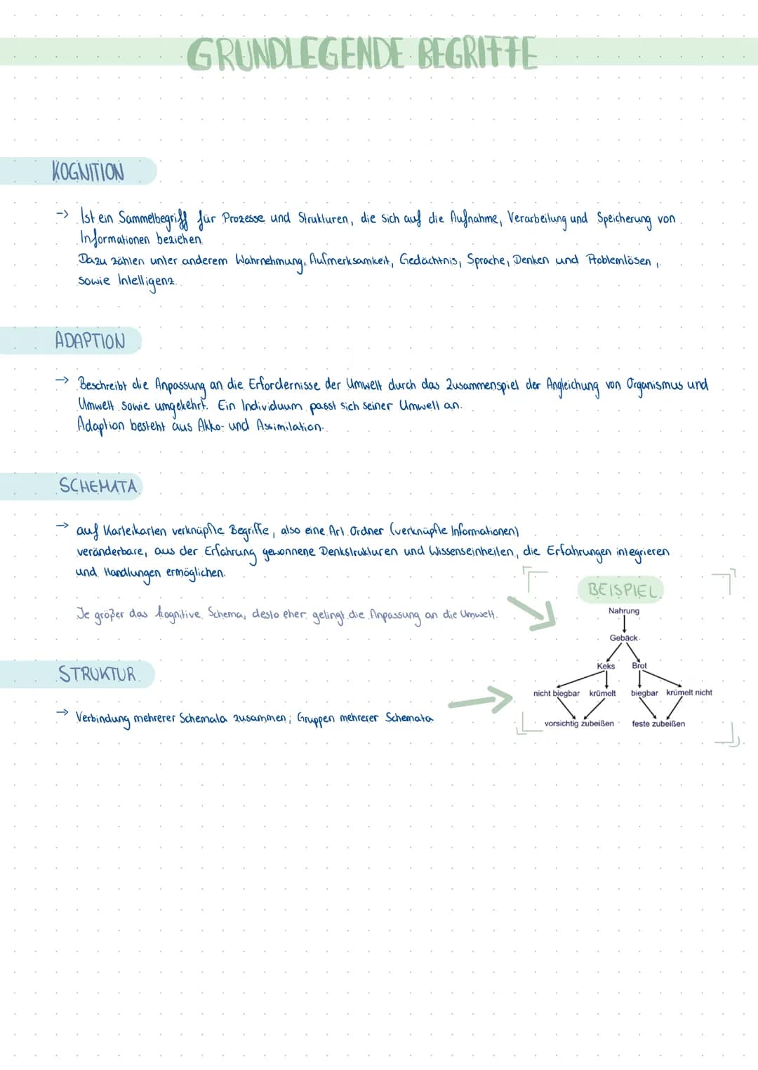 KOGNITIVE ENTWICKLUNG
nach Jean Piaget THEMEN
Kognitives Schema
Kognitive Struktur
Adaption:
Assimilation & Akkommodation
• Die 4 Stufen der