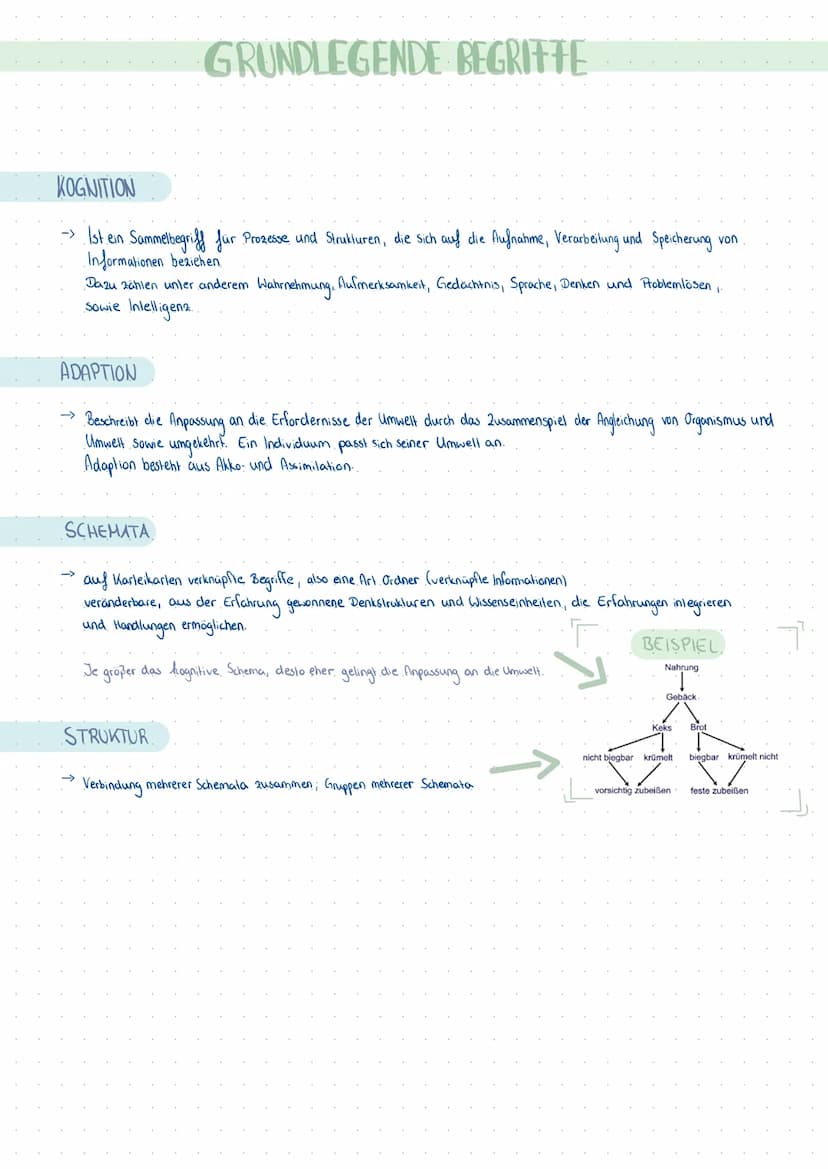 KOGNITIVE ENTWICKLUNG
nach Jean Piaget THEMEN
Kognitives Schema
Kognitive Struktur
Adaption:
Assimilation & Akkommodation
• Die 4 Stufen der