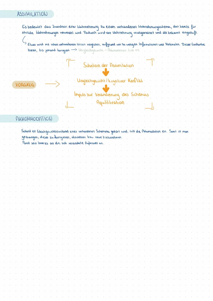 KOGNITIVE ENTWICKLUNG
nach Jean Piaget THEMEN
Kognitives Schema
Kognitive Struktur
Adaption:
Assimilation & Akkommodation
• Die 4 Stufen der