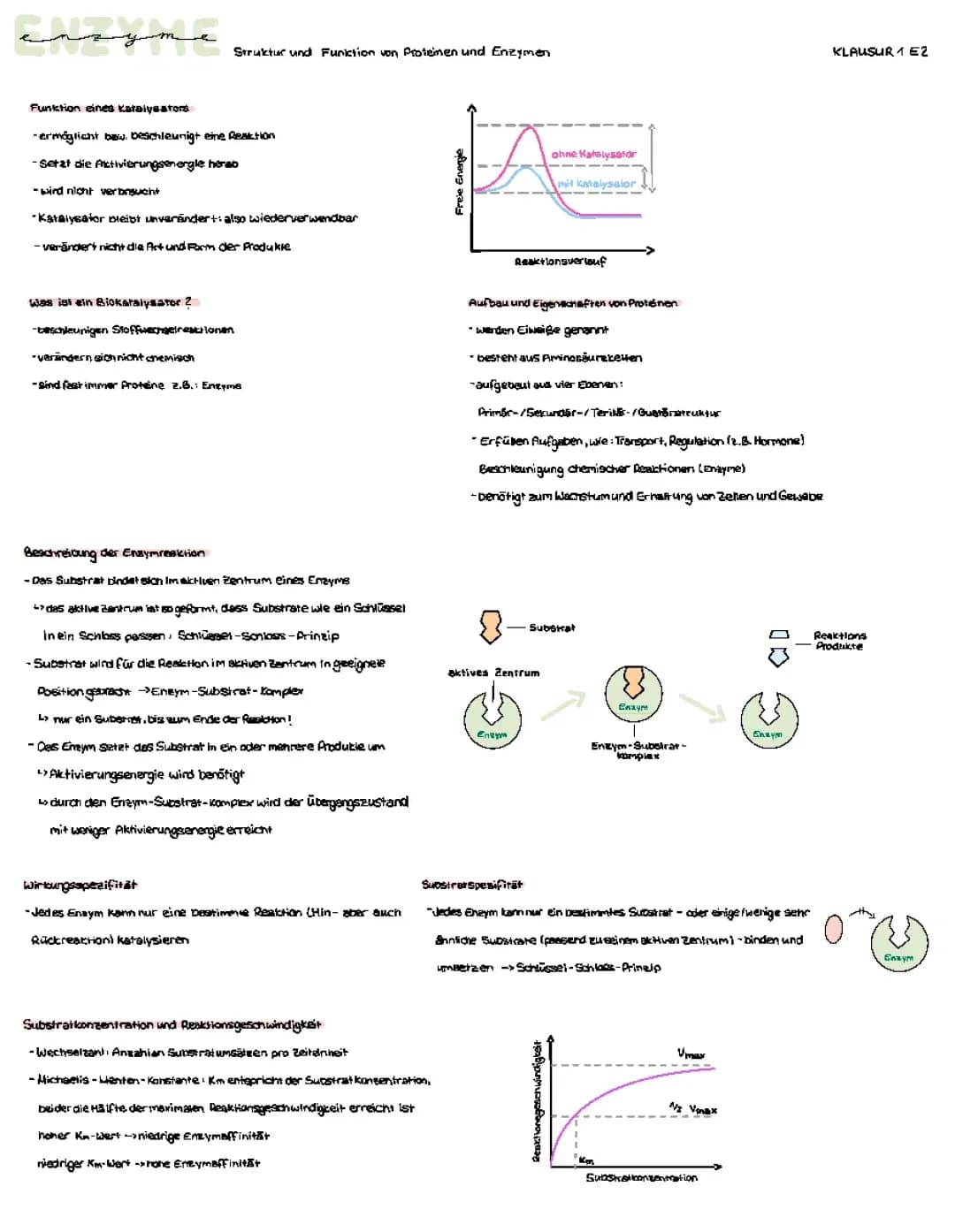 Enzyme