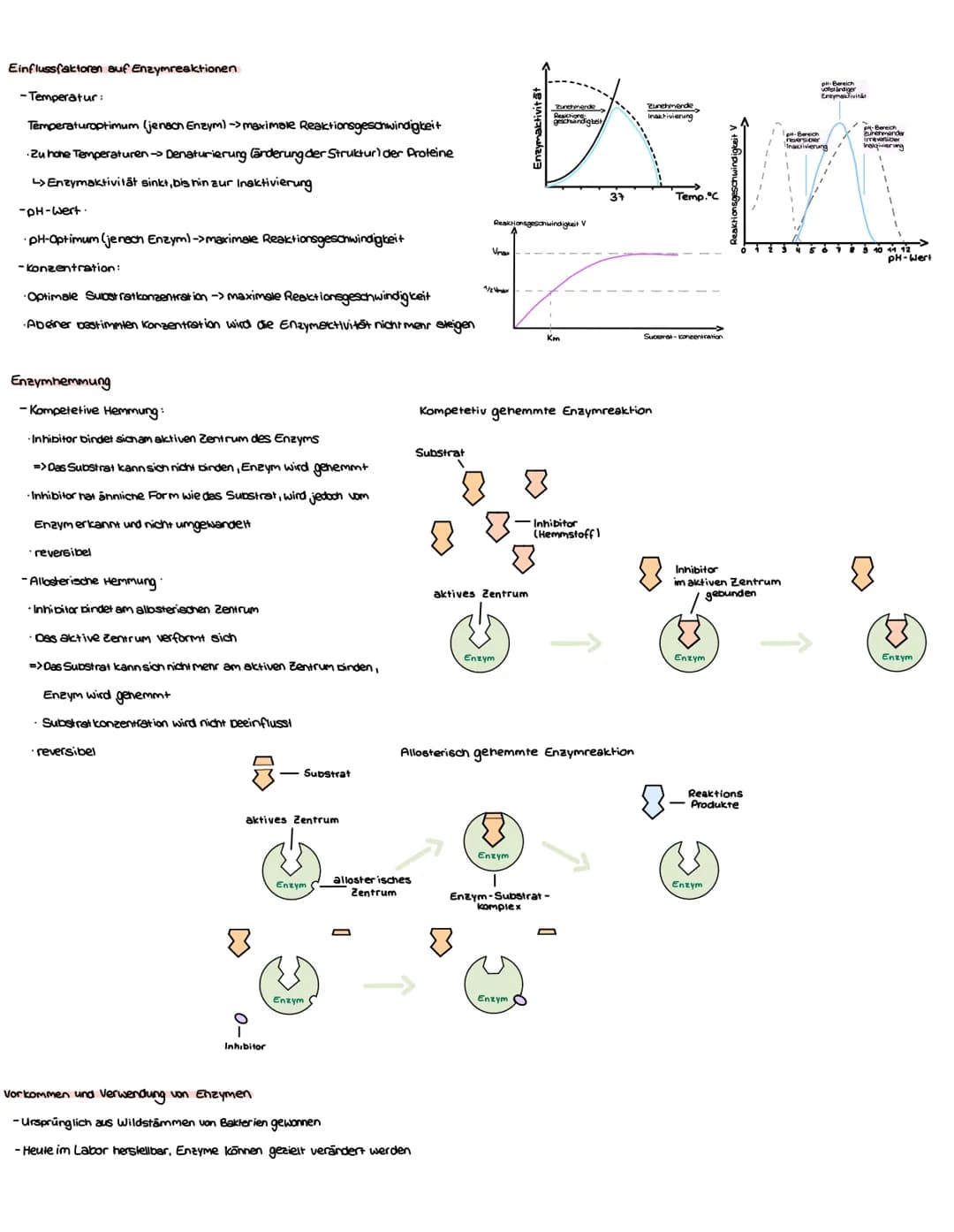 enzyme
Struktur und Funktion von Proteinen und Enzymen
Funktion eines katalysators
-ermöglicht bzw. beschleunigt eine Reaktion
-Setzt die Ak