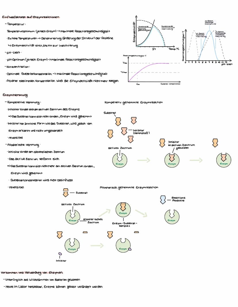 enzyme
Struktur und Funktion von Proteinen und Enzymen
Funktion eines katalysators
-ermöglicht bzw. beschleunigt eine Reaktion
-Setzt die Ak