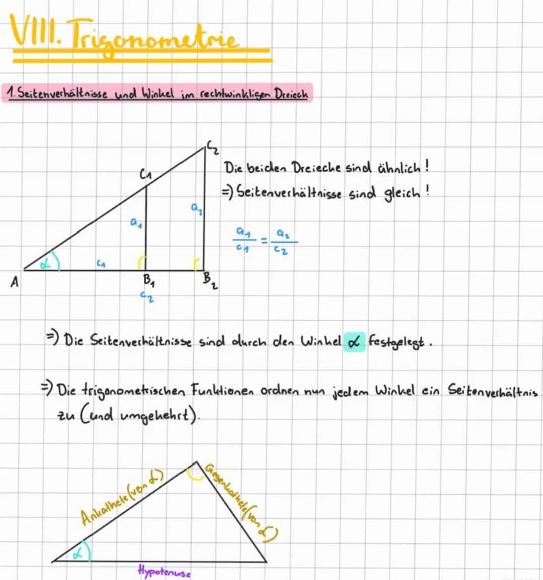 VIII. Trigonometrie
1. Seitenverhältnisse und Winkel im rechtwinkligen Dreieck
A
CA
C₁
S
a
B₁
62
a₁
Ankathete (von)
2
Hypotenuse
Die beiden 