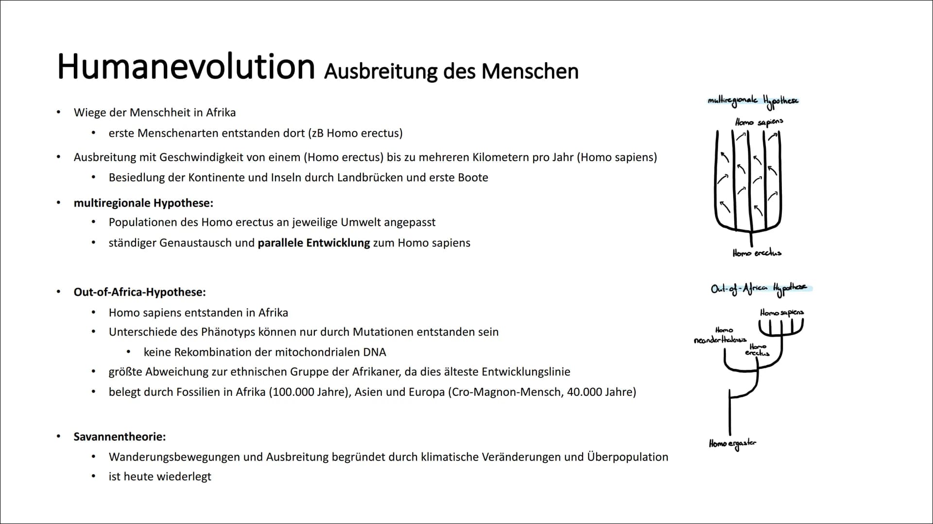 Humanevolution die frühen Hominiden
Aufspaltung in Schimpansen und Hominiden vor 5-7 Millionen Jahren
immer noch größte DNA-Übereinstimmung
