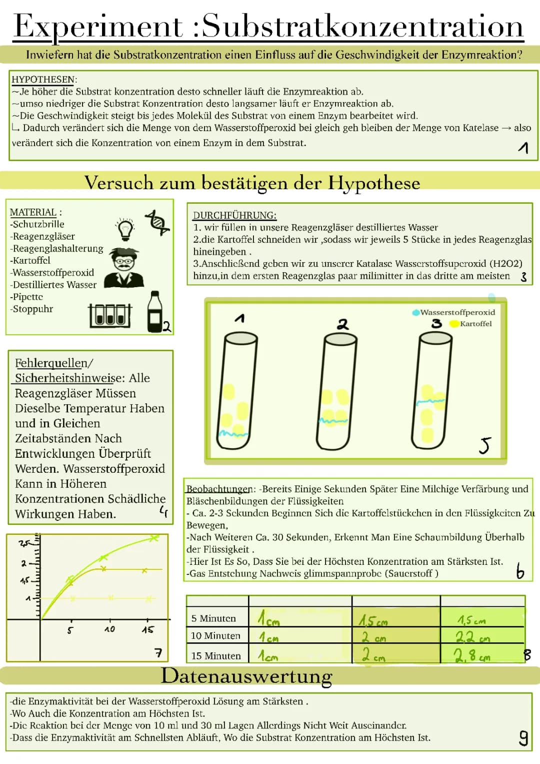 Substratkonzentration und Michaelis-Menten-Konstante: Einfache Erklärungen für Enzyme