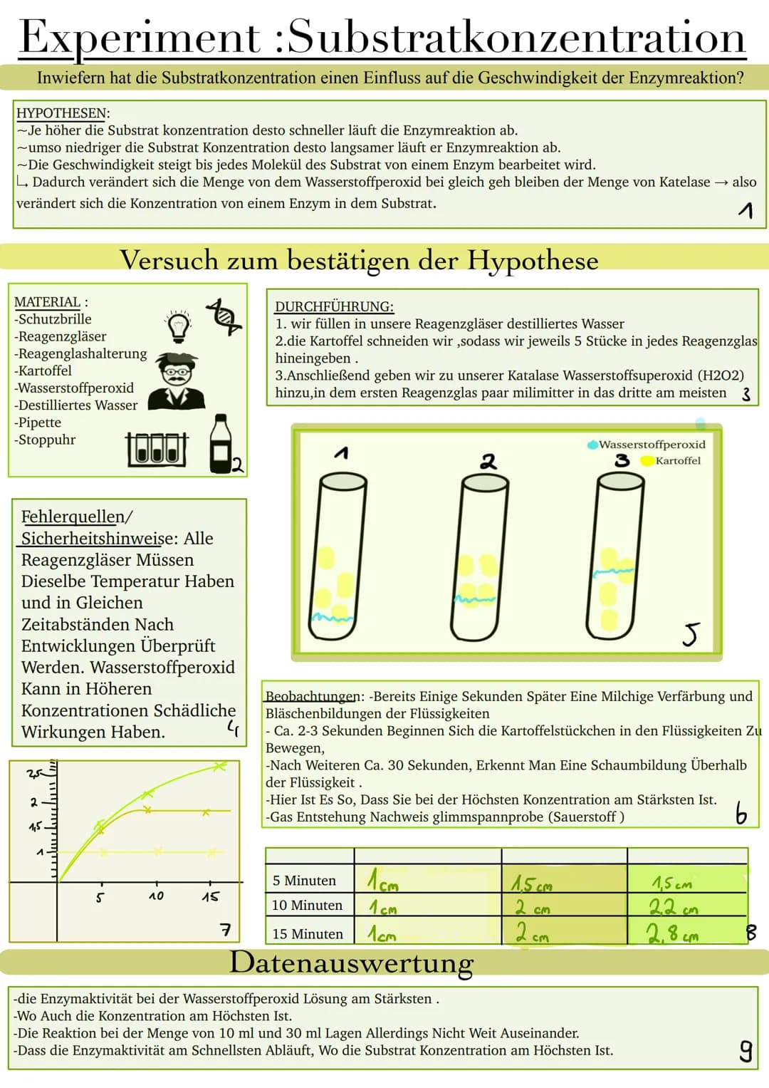 Experiment :Substratkonzentration
Inwiefern hat die Substratkonzentration einen Einfluss auf die Geschwindigkeit der Enzymreaktion?
HYPOTHES