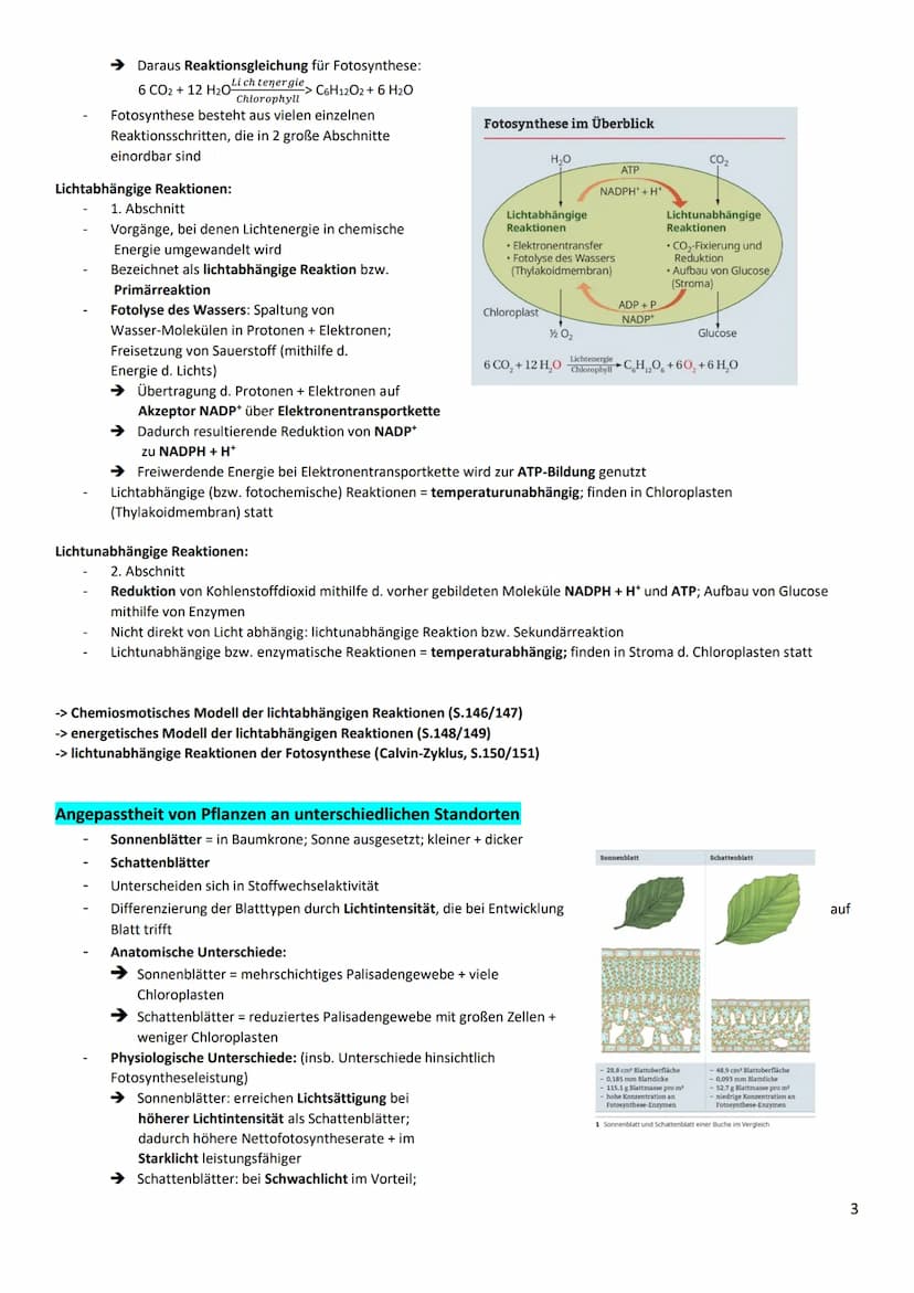 Zusammenfassung Fotosynthese und Ökologie
wichtig-Graphbeschreibung
Überschrift / Unterschrift
x-/y-Achsen nennen und Skalierung, Verlauf ge