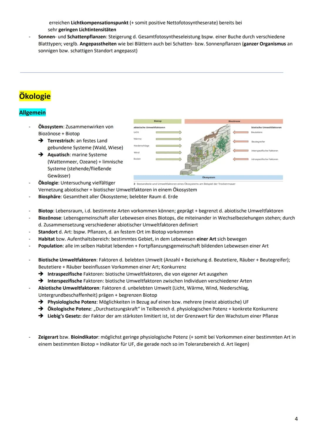 Zusammenfassung Fotosynthese und Ökologie
wichtig-Graphbeschreibung
Überschrift / Unterschrift
x-/y-Achsen nennen und Skalierung, Verlauf ge