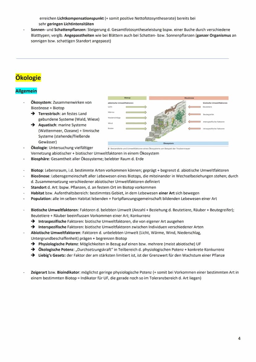 Zusammenfassung Fotosynthese und Ökologie
wichtig-Graphbeschreibung
Überschrift / Unterschrift
x-/y-Achsen nennen und Skalierung, Verlauf ge
