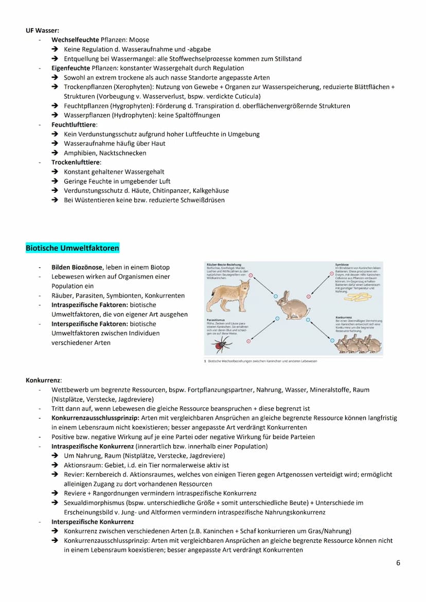 Zusammenfassung Fotosynthese und Ökologie
wichtig-Graphbeschreibung
Überschrift / Unterschrift
x-/y-Achsen nennen und Skalierung, Verlauf ge