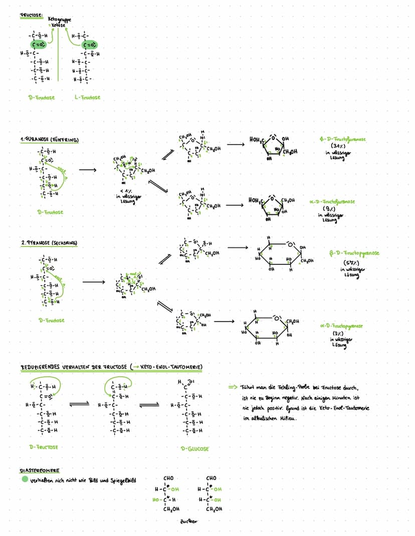Q2- Naturstoffe und Synthese chemie
Q2.1-KOHLENHYDRATE UND PEPTIDE
KOHLENHYDRATE:
Cn (H₂O) n
oder C₁ (H₂0)n-1 nach Wasserabspaltung
= Polyhy