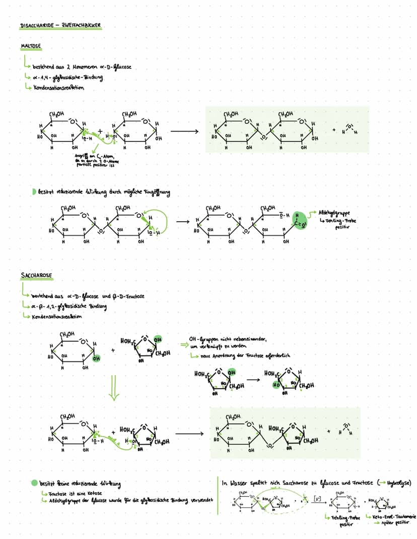 Q2- Naturstoffe und Synthese chemie
Q2.1-KOHLENHYDRATE UND PEPTIDE
KOHLENHYDRATE:
Cn (H₂O) n
oder C₁ (H₂0)n-1 nach Wasserabspaltung
= Polyhy