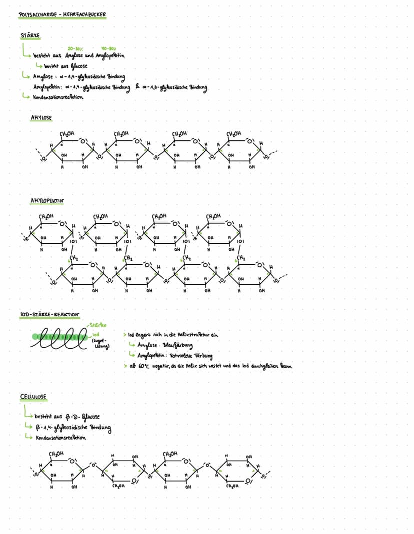 Q2- Naturstoffe und Synthese chemie
Q2.1-KOHLENHYDRATE UND PEPTIDE
KOHLENHYDRATE:
Cn (H₂O) n
oder C₁ (H₂0)n-1 nach Wasserabspaltung
= Polyhy