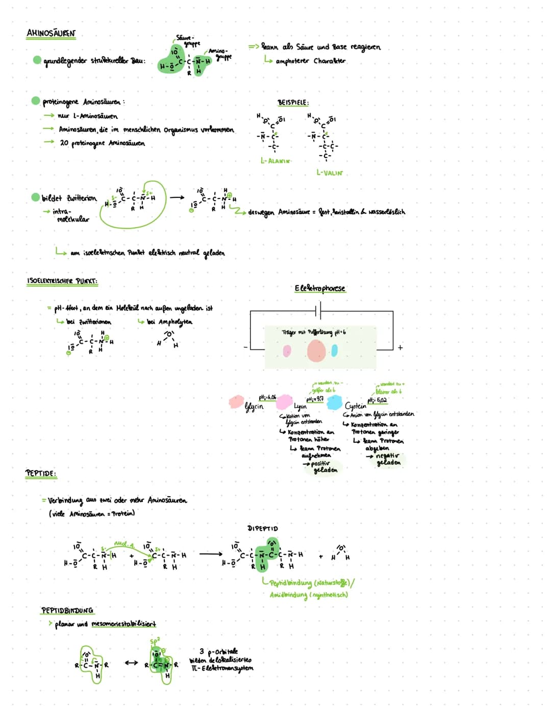 Q2- Naturstoffe und Synthese chemie
Q2.1-KOHLENHYDRATE UND PEPTIDE
KOHLENHYDRATE:
Cn (H₂O) n
oder C₁ (H₂0)n-1 nach Wasserabspaltung
= Polyhy