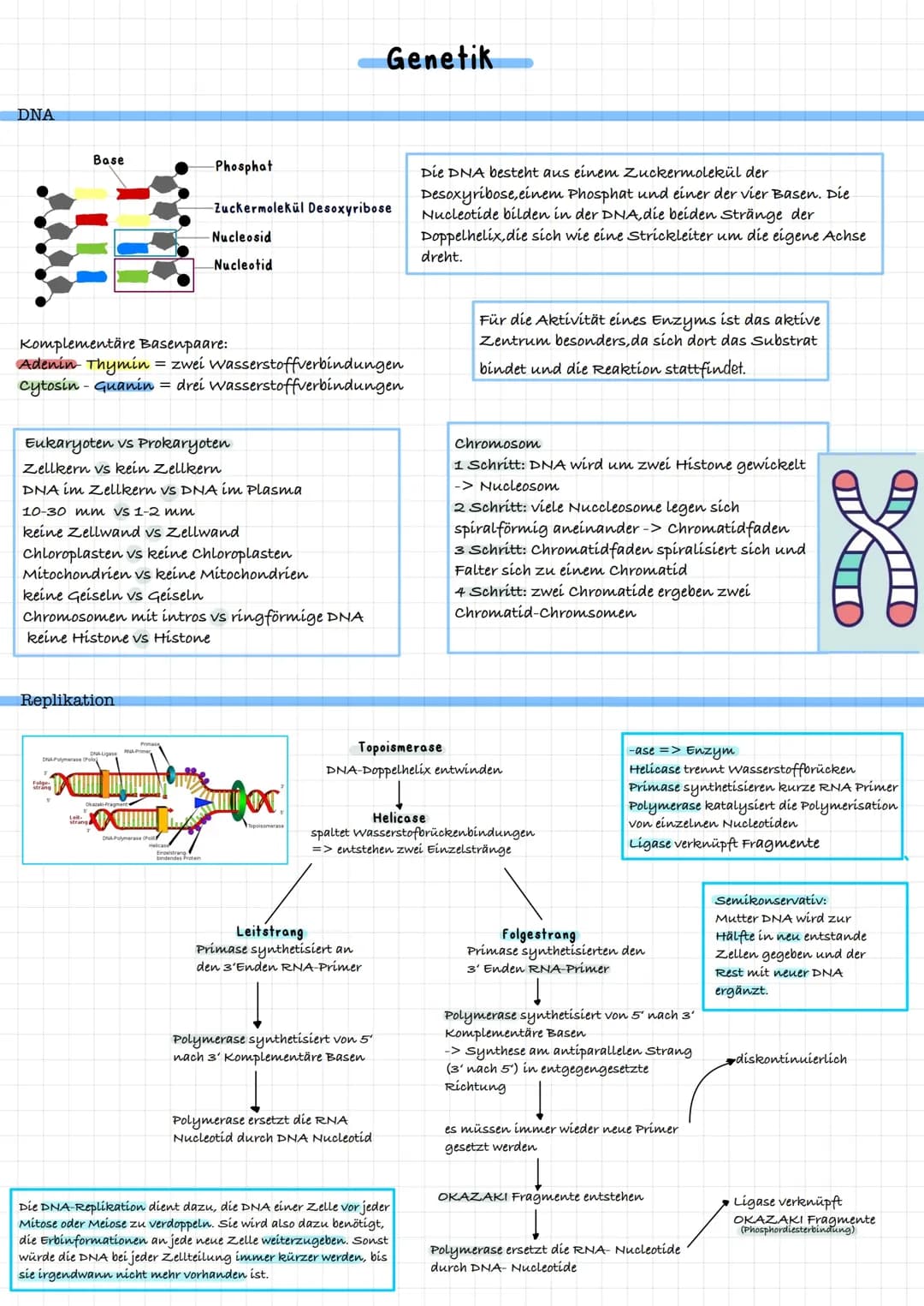 BIO LK KLAUSUR 1 - GENETIK