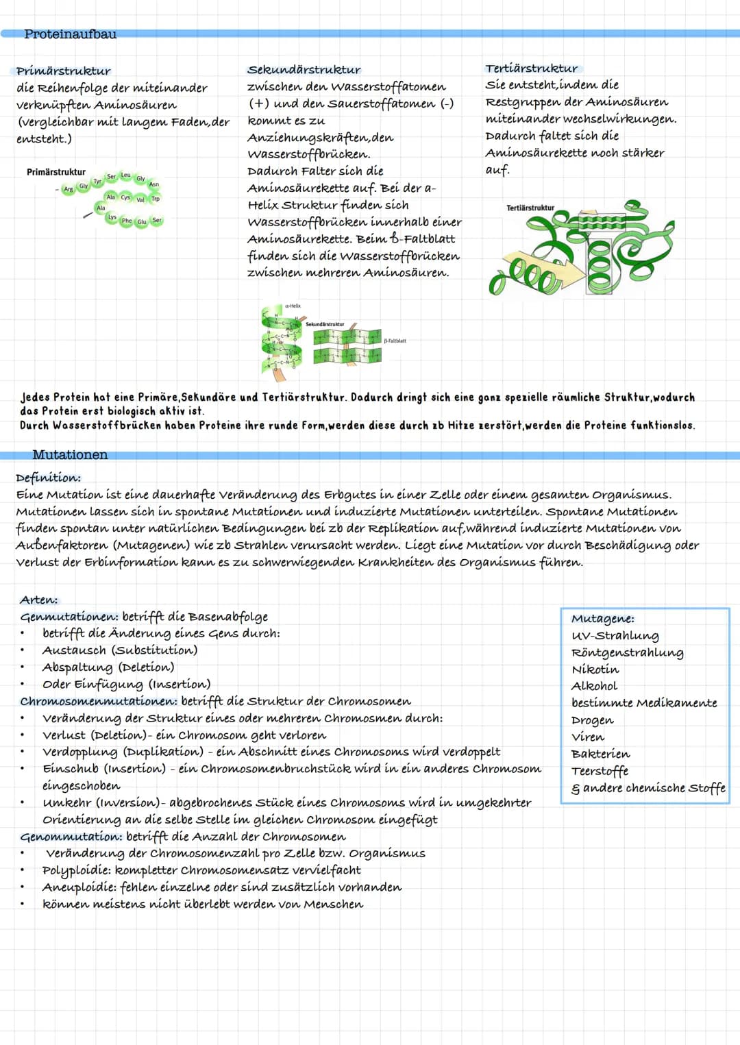 DNA
Base
Komplementäre Basenpaare:
Adenín Thymin = zwei Wasserstoffverbindungen
cytosin - Guanin = drei Wasserstoffverbindungen
Eukaryoten v