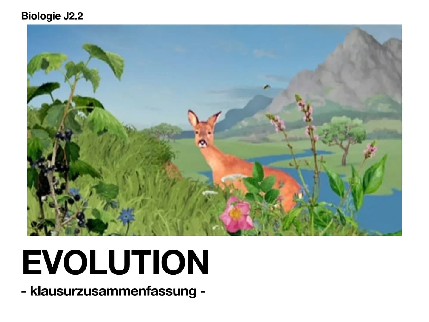 Biologie J2.2
EVOLUTION
- klausurzusammenfassung - ●
●
●
Evolution
Evolutionstheorien
Synthetische Evolutionstheorie
-> Mutation & genetisch