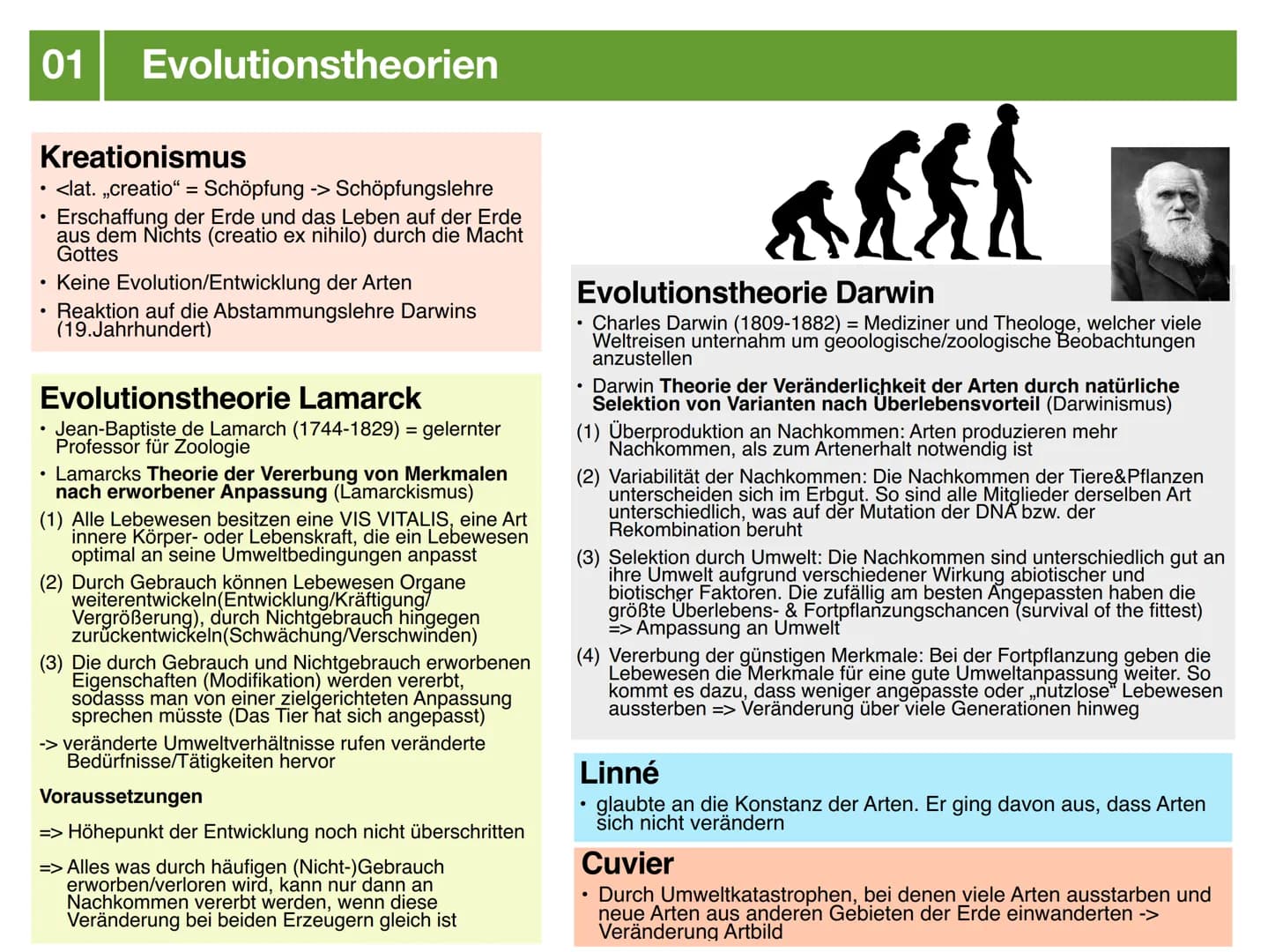 Biologie J2.2
EVOLUTION
- klausurzusammenfassung - ●
●
●
Evolution
Evolutionstheorien
Synthetische Evolutionstheorie
-> Mutation & genetisch