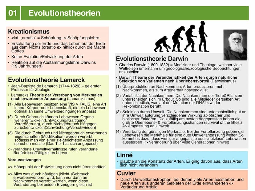 Biologie J2.2
EVOLUTION
- klausurzusammenfassung - ●
●
●
Evolution
Evolutionstheorien
Synthetische Evolutionstheorie
-> Mutation & genetisch