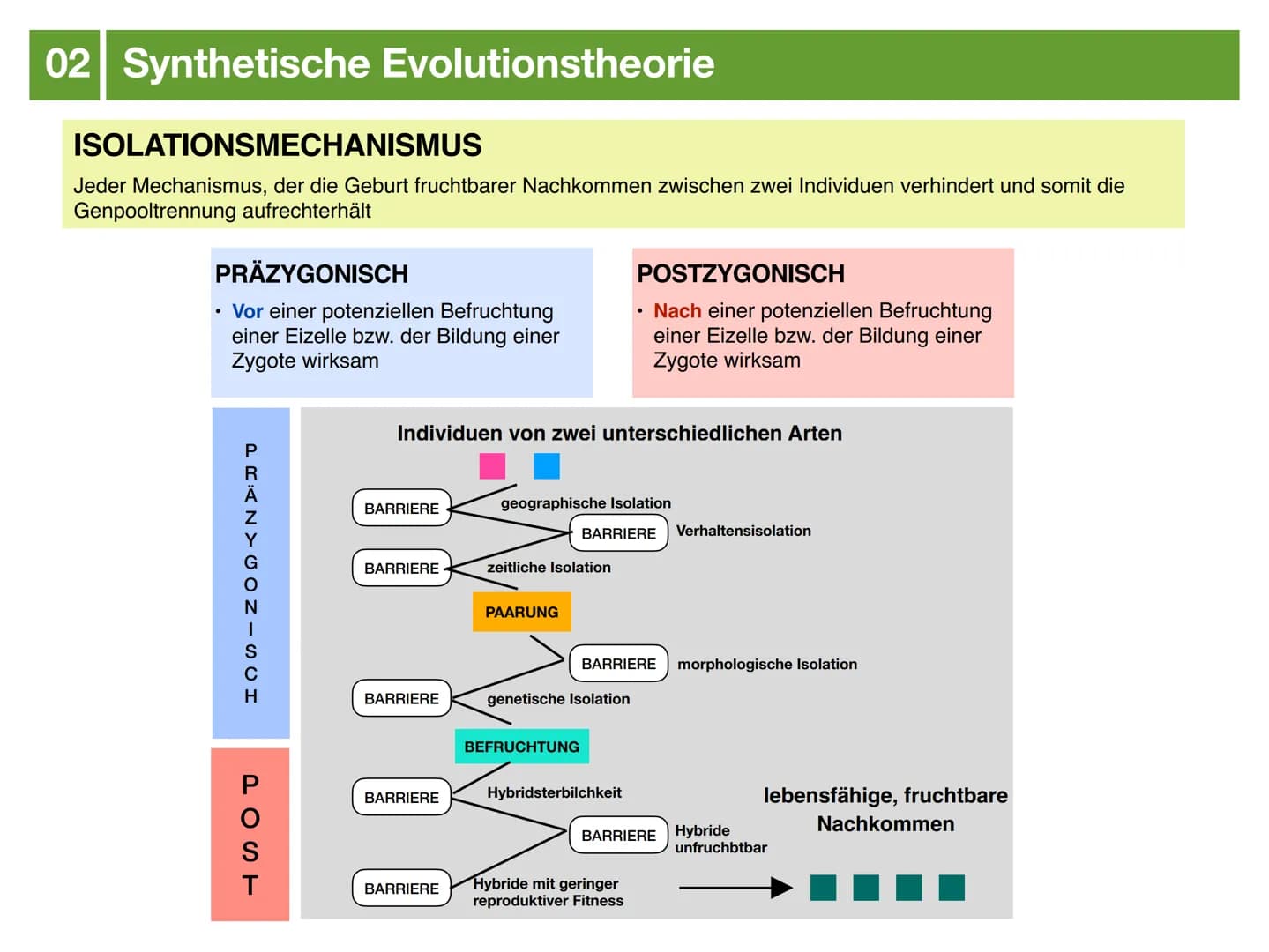 Biologie J2.2
EVOLUTION
- klausurzusammenfassung - ●
●
●
Evolution
Evolutionstheorien
Synthetische Evolutionstheorie
-> Mutation & genetisch
