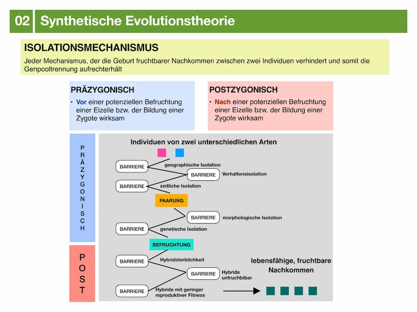 Biologie J2.2
EVOLUTION
- klausurzusammenfassung - ●
●
●
Evolution
Evolutionstheorien
Synthetische Evolutionstheorie
-> Mutation & genetisch