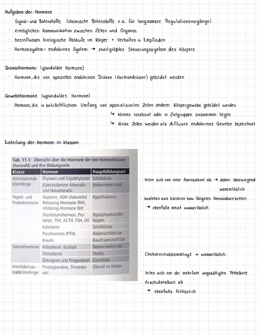 188
WIEDERHOLUNGSFRAGEN
1. Welche Aufgaben haben die Hormone? (→ 11.1)
2. Was sind Drüsen-, was Gewebehormone? (→ 11.1)
3. In welche chemisc