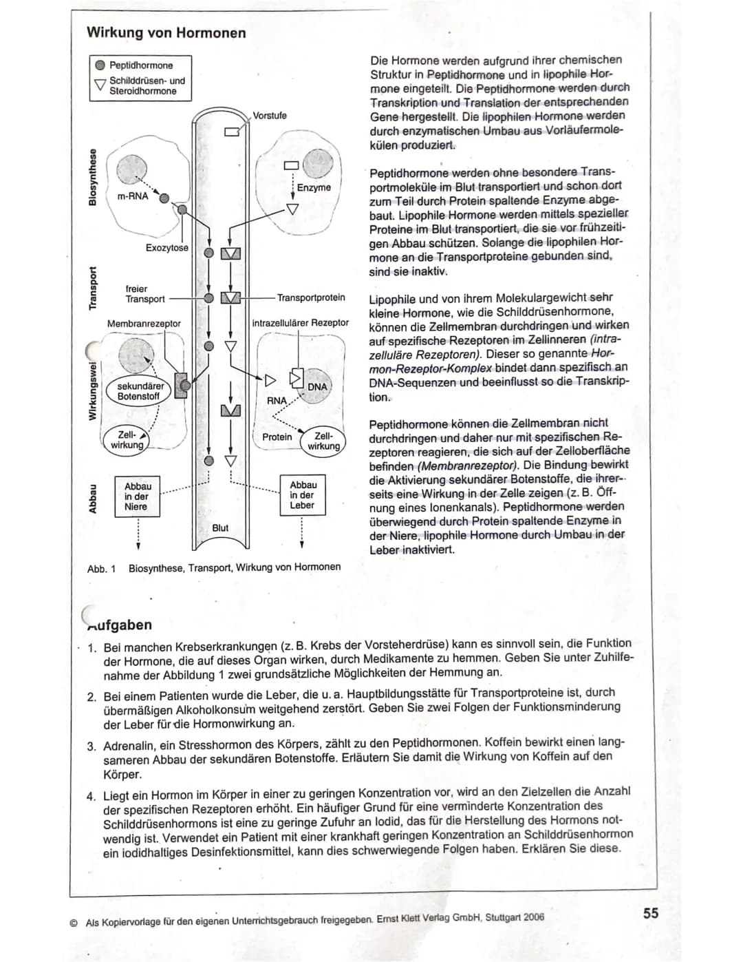 188
WIEDERHOLUNGSFRAGEN
1. Welche Aufgaben haben die Hormone? (→ 11.1)
2. Was sind Drüsen-, was Gewebehormone? (→ 11.1)
3. In welche chemisc