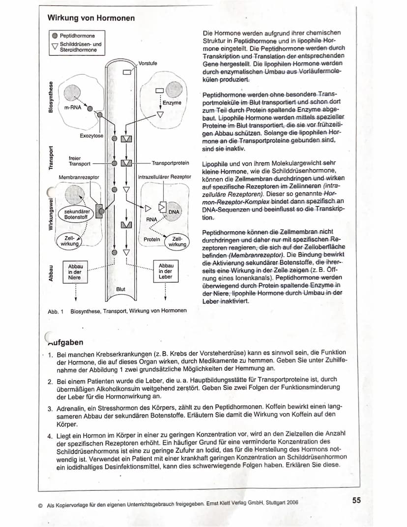 188
WIEDERHOLUNGSFRAGEN
1. Welche Aufgaben haben die Hormone? (→ 11.1)
2. Was sind Drüsen-, was Gewebehormone? (→ 11.1)
3. In welche chemisc