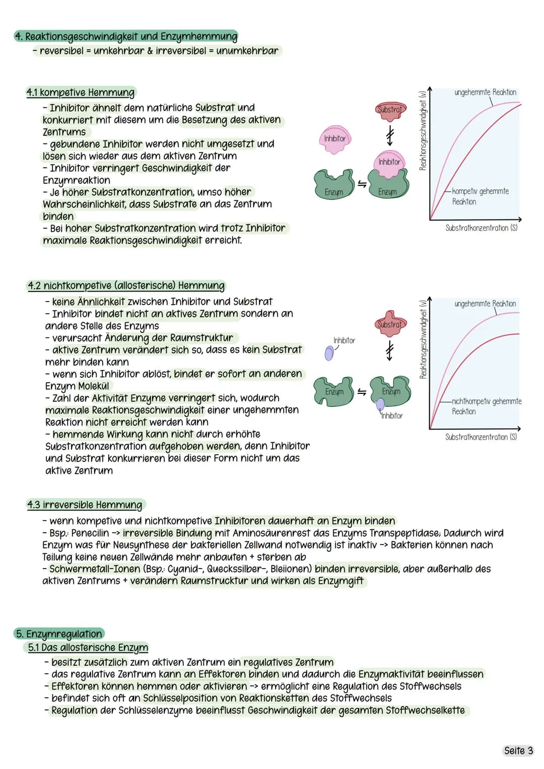 1. Was sind Enzyme?
1.1 Was sind Enzyme?
- Proteine
- Biokatalysatoren
- in allen Körperzellen enthalten und unerlässlich für alle Körperfun