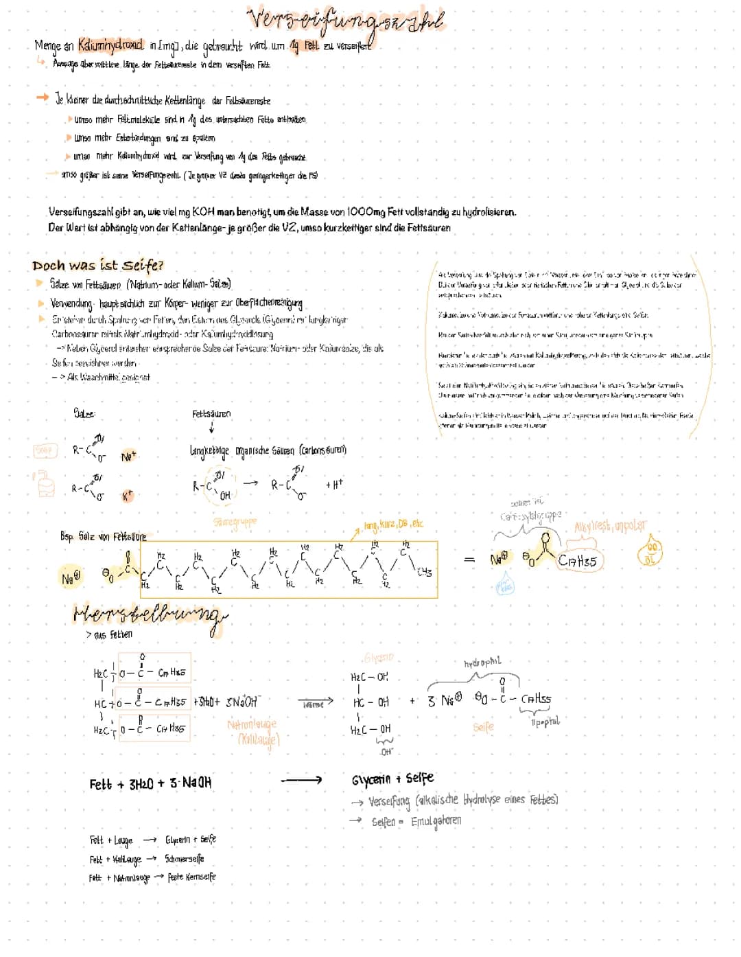 Seife und Verseifung: Grundlagen und Mechanismen