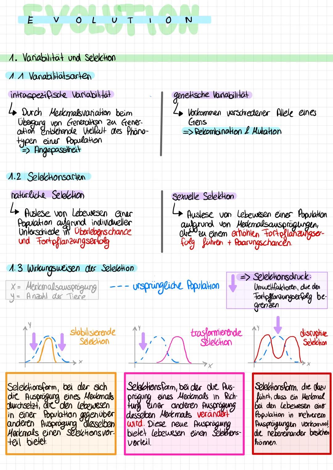 # EVOLUTION

1. Variabilität und Selection

1.  1 Variabilitätsarten

intraspezifische Variabilität
Durch Merkmalsvariation beim
Übergang vo