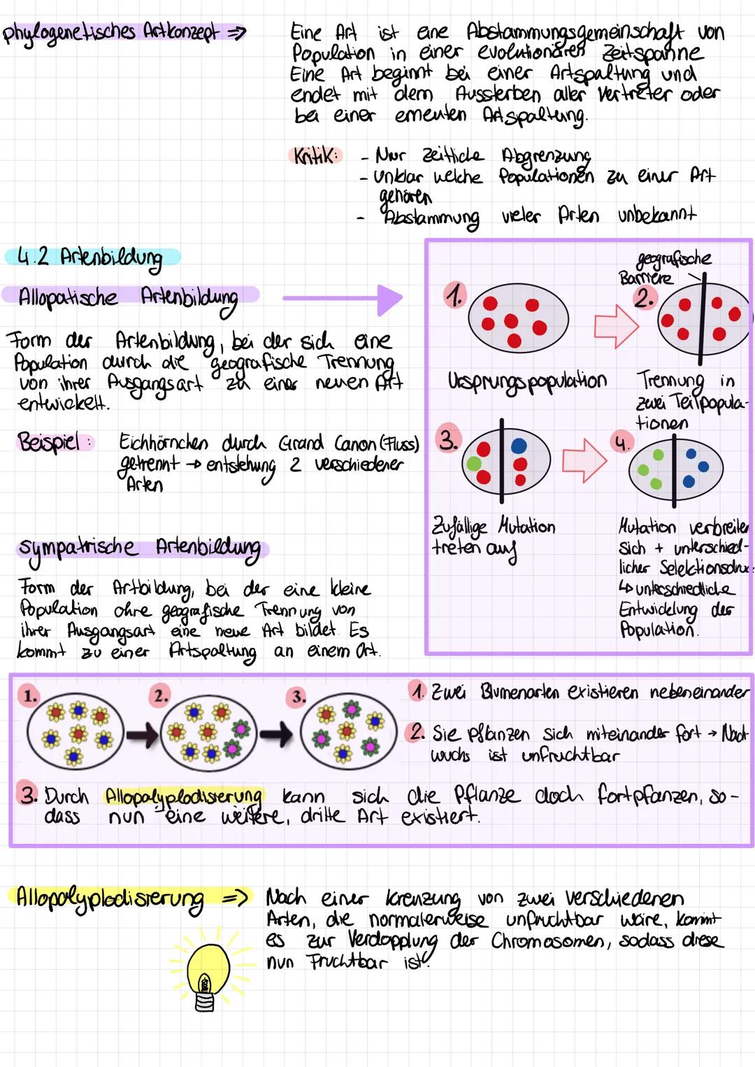 # EVOLUTION

1. Variabilität und Selection

1.  1 Variabilitätsarten

intraspezifische Variabilität
Durch Merkmalsvariation beim
Übergang vo