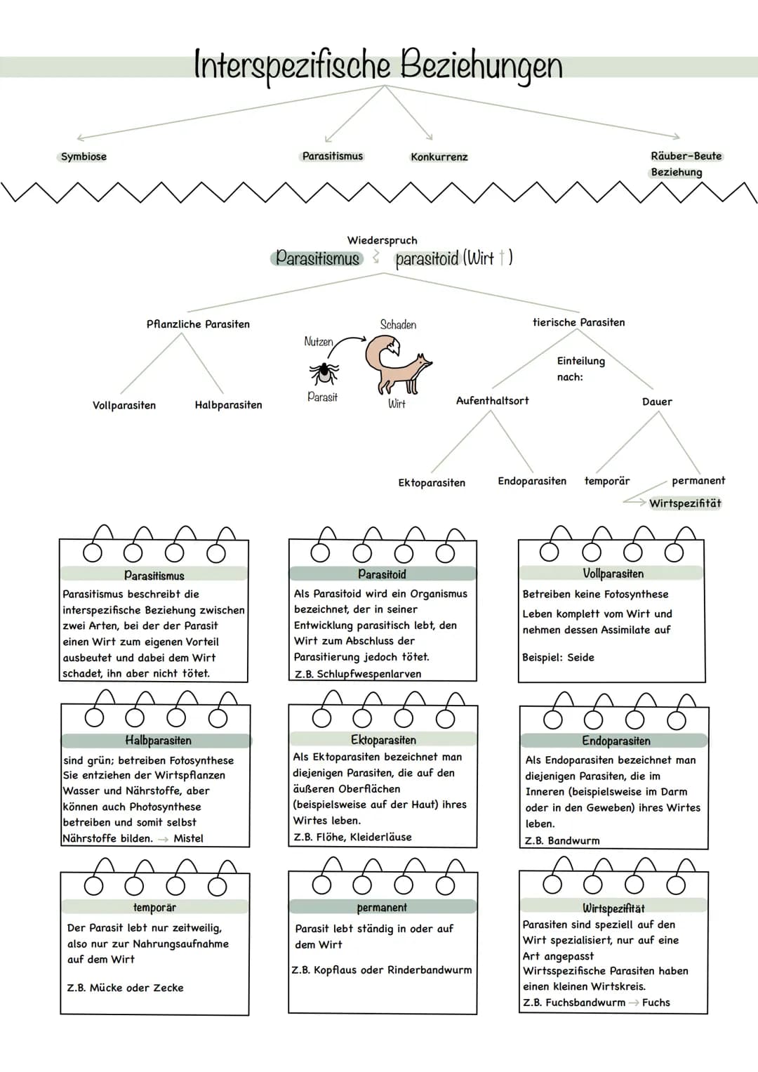 Symbiose
Pflanzliche Parasiten
Vollparasiten
Interspezifische Beziehungen
Halbparasiten
Parasitismus
Parasitismus beschreibt die
interspezif