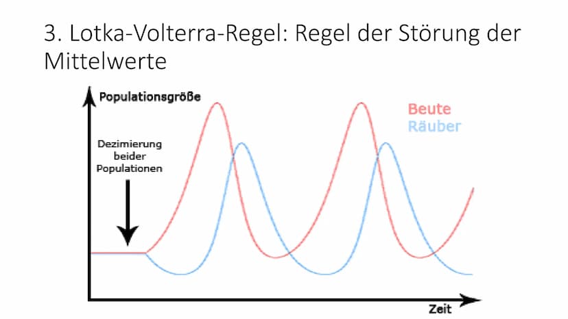 Lotka-Volterra-Regeln 1925/26 - Alfred J. Lotka und Vito Volterra Räuber-Beute-Beziehung
Weniger Füchse
• weniger Nahrung für
die Füchse
• H