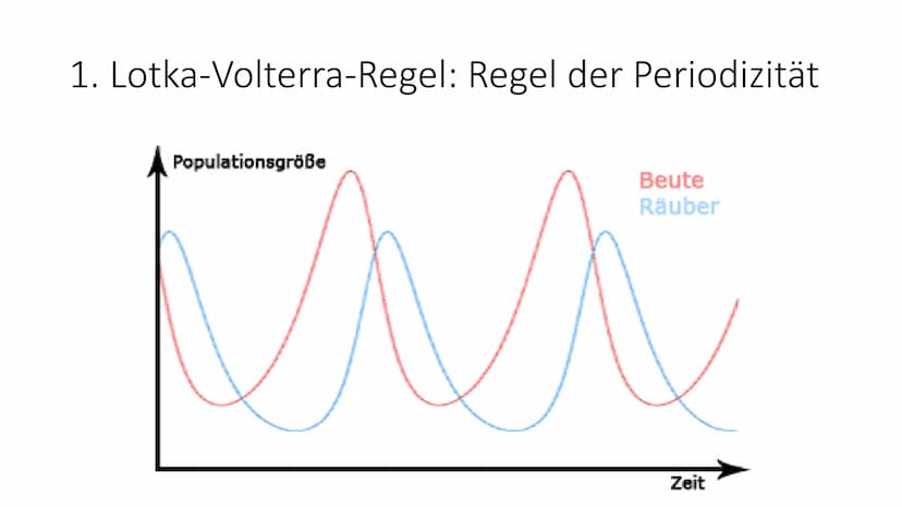 Lotka-Volterra-Regeln 1925/26 - Alfred J. Lotka und Vito Volterra Räuber-Beute-Beziehung
Weniger Füchse
• weniger Nahrung für
die Füchse
• H