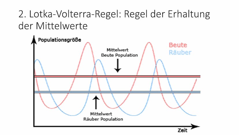 Lotka-Volterra-Regeln 1925/26 - Alfred J. Lotka und Vito Volterra Räuber-Beute-Beziehung
Weniger Füchse
• weniger Nahrung für
die Füchse
• H