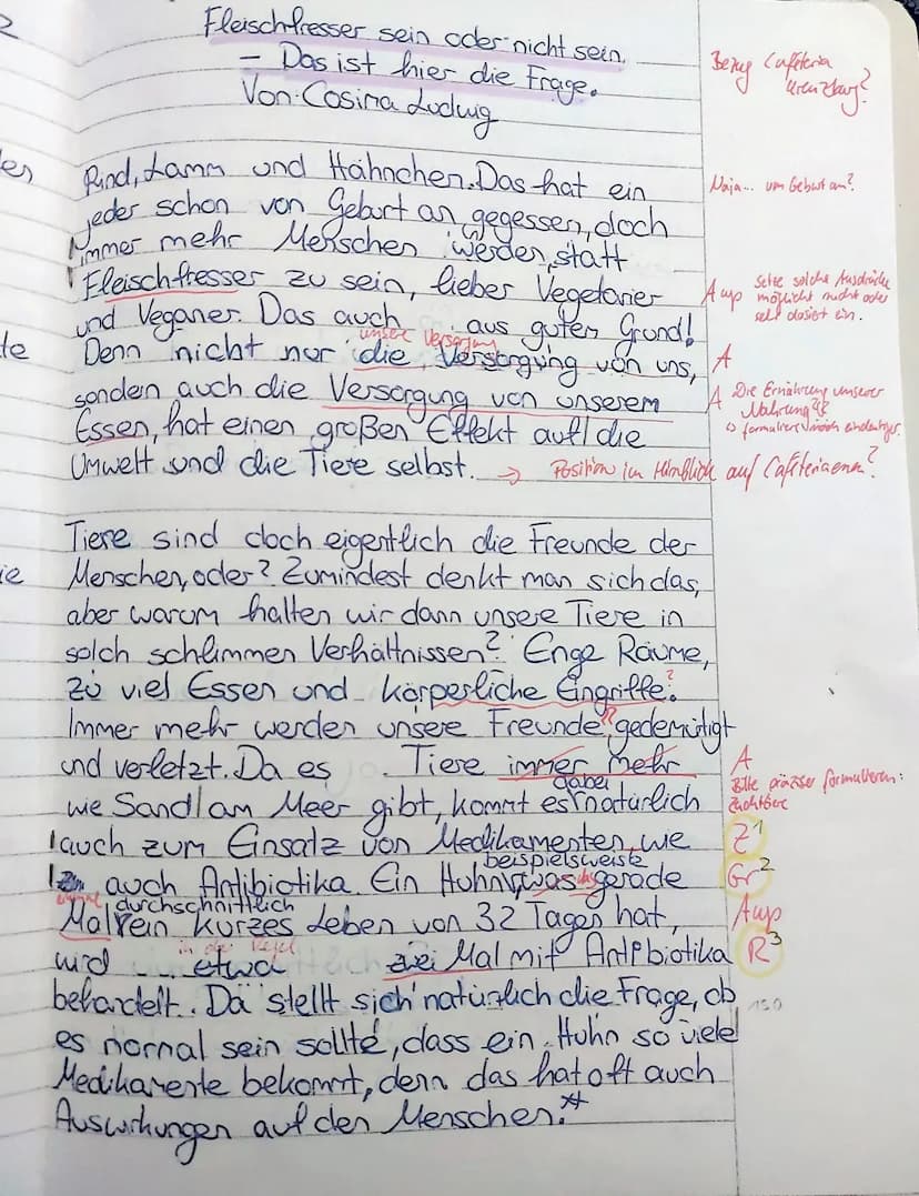 1. Deutscharbeit, Klasse 10e 2021 22 (WaY), 22.02.2022
Schwerpunkt: Materialgestützes Schreiben - Kommentar
Aufgabenstellung:
Am Franziskane