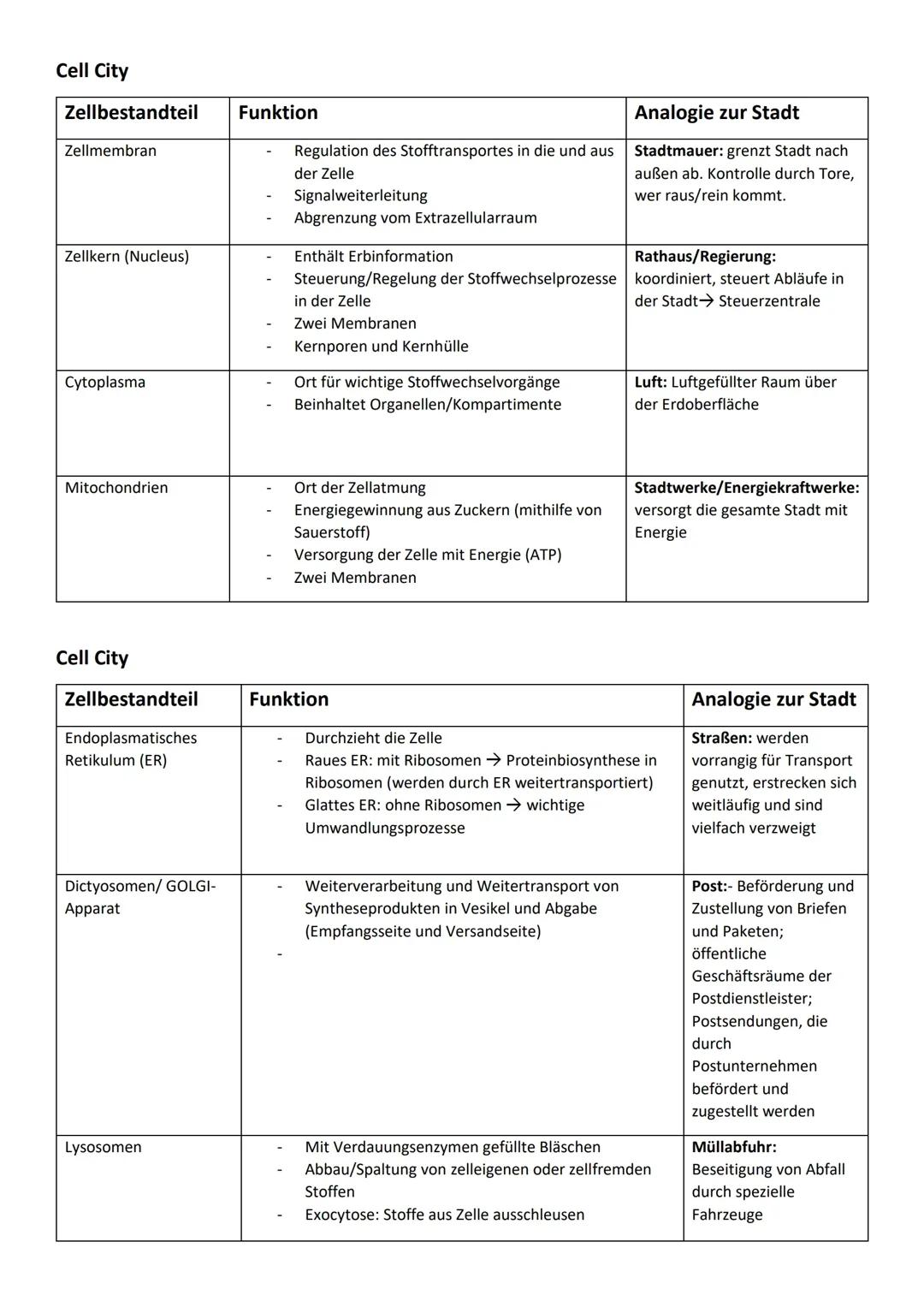 Cell City: Zellbestandteile von pflanzlichen Zellen (+Funktion)
