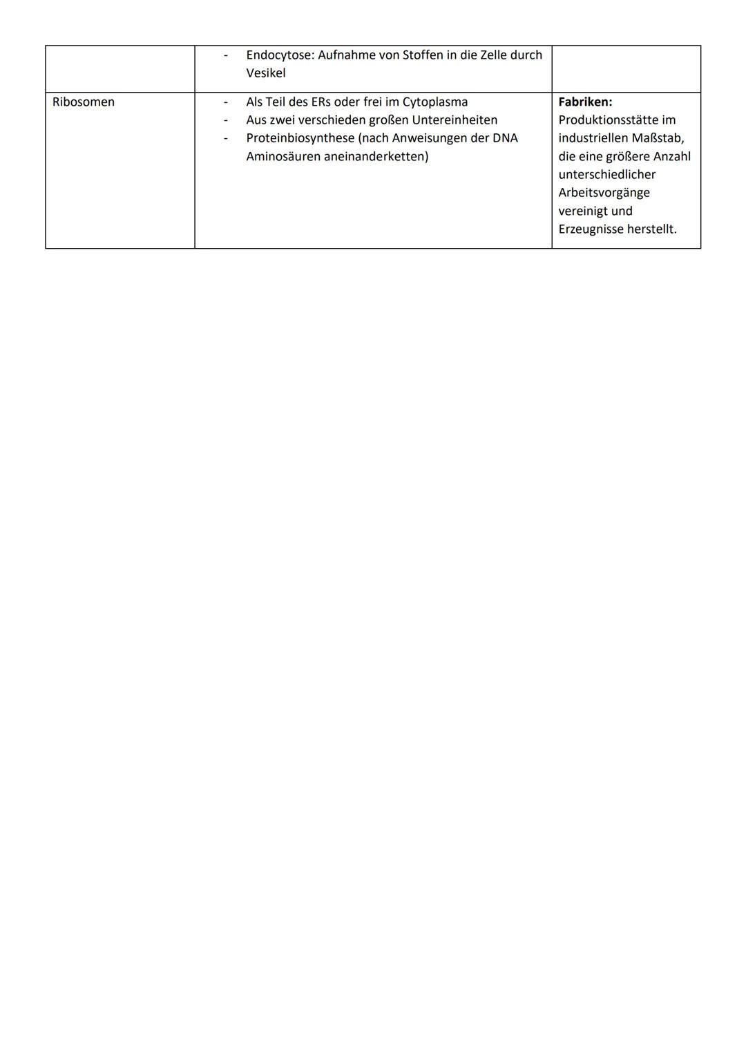 Cell City
Zellbestandteil
Zellmembran
Zellkern (Nucleus)
Cytoplasma
Mitochondrien
Cell City
Zellbestandteil
Endoplasmatisches
Retikulum (ER)