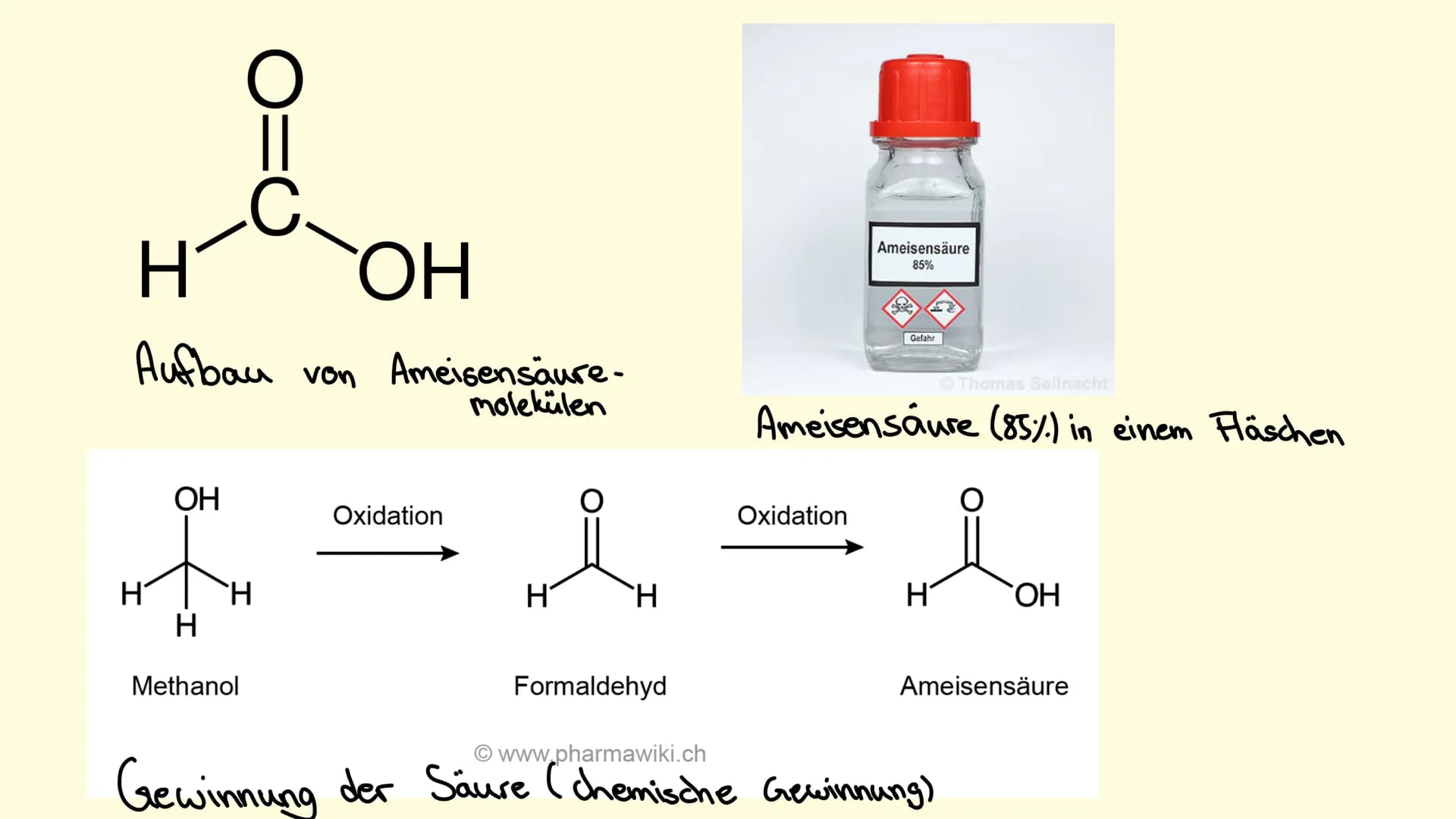 Ameisensäure Geschichte der Ameisensäure
●
Einige Naturalisten und Alchemisten beobachteten Anfang des 15.
Jahrhunderts, wie Ameisen eine sa