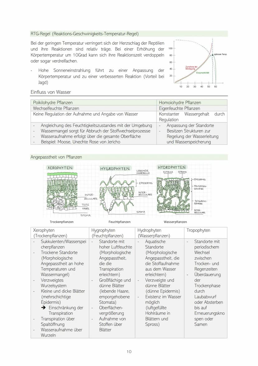 Q1 - 12.1 STOFFWECHSELBIOLOGIE UND ENZYMATIK
●
●
●
-
BIOLOGIE - ABITUR
ASSIMILATION: FOTOSYNTHESE
o Überblick
o
Bedeutung der Fotosynthese
O