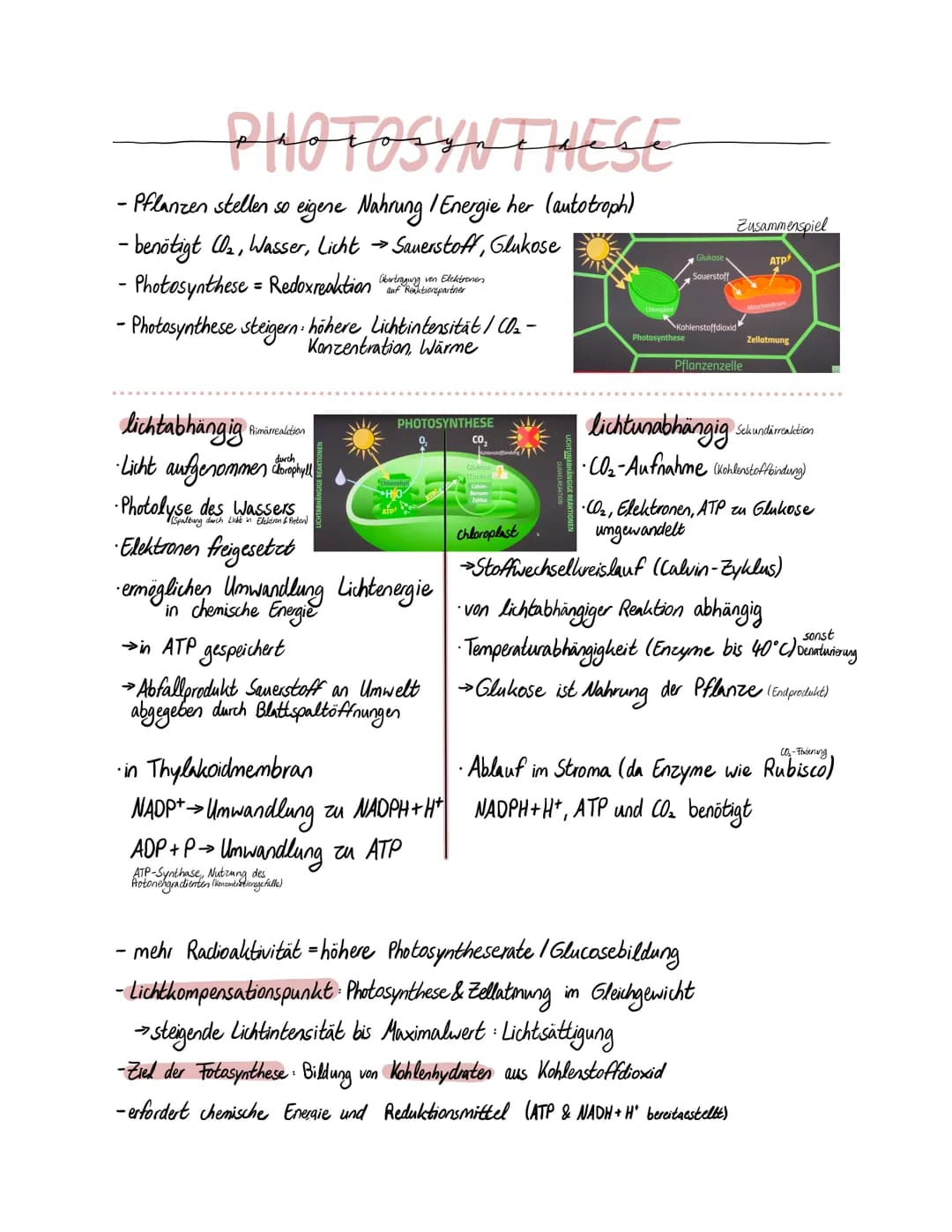 <h3 id="lichtabhngigereaktionfotosynthese">Lichtabhängige Reaktion Fotosynthese</h3>
<p>Die lichtabhängige Reaktion der Fotosynthese findet 