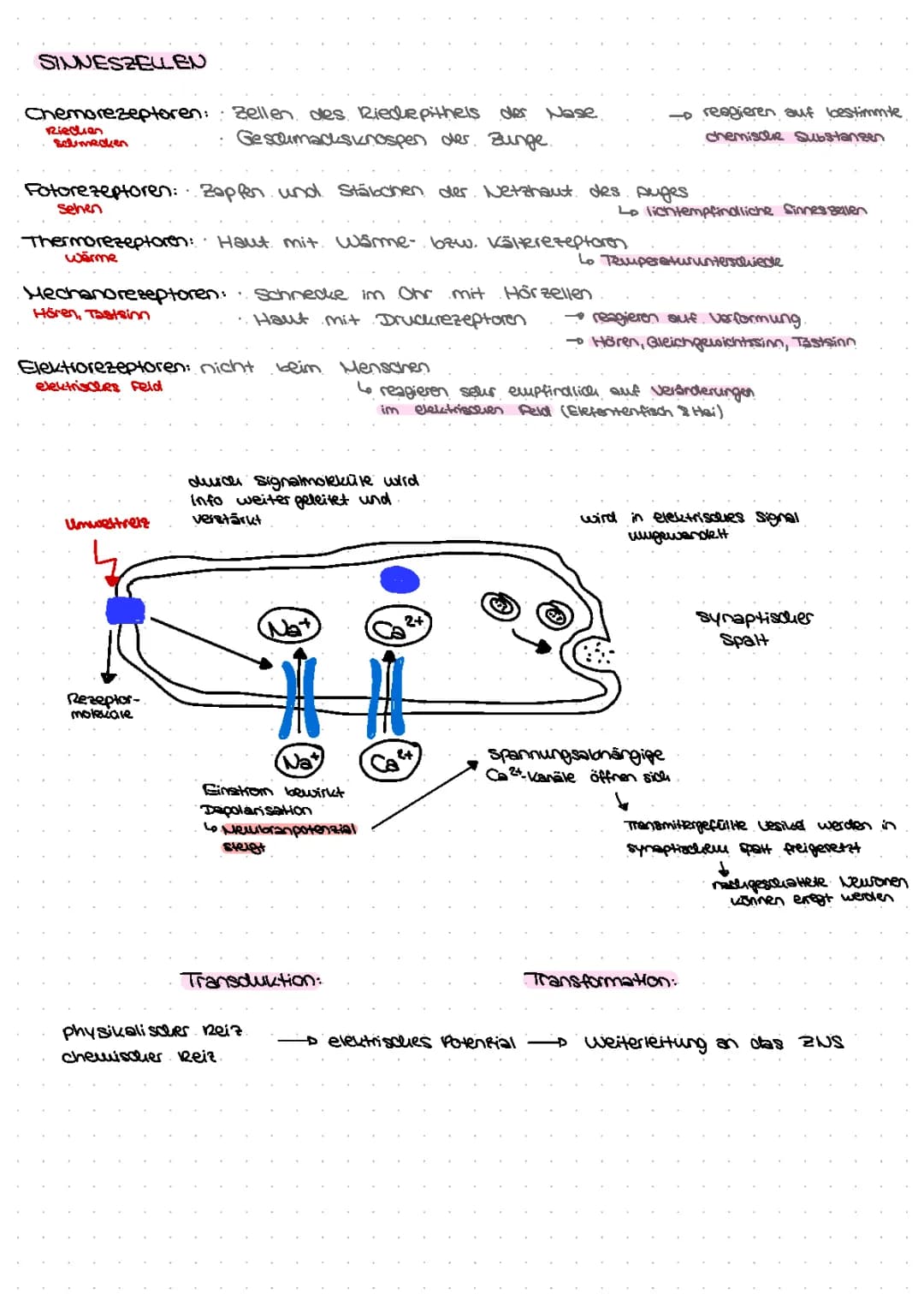 Biologie Q4